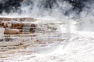 Steamy Mammoth Hot Springs Formations