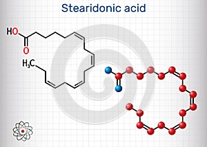 Stearidonic acid, moroctic acid, SDA molecule. Structural chemical formula, molecule model. Sheet of paper in a cage