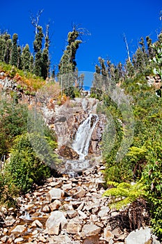 Steavenson Falls in Marysville Australia