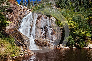 Steavenson Falls in Marysville Australia