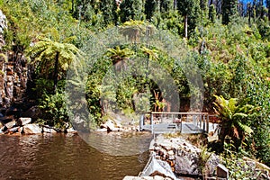 Steavenson Falls in Marysville Australia