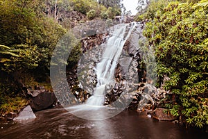 Steavenson Falls in Marysville Australia