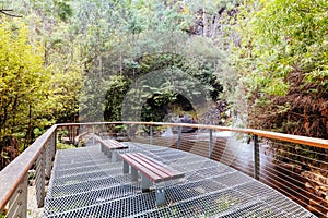 Steavenson Falls in Marysville Australia