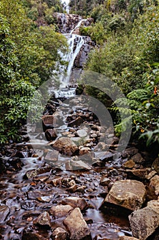 Steavenson Falls in Marysville Australia