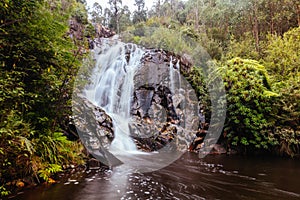 Steavenson Falls in Marysville Australia