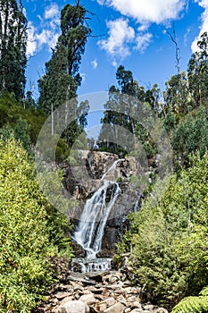 Steavenson Falls, Marysville, Victoria, Australia