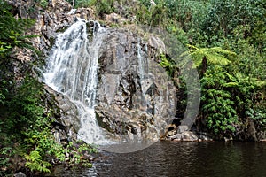 Steavenson River Valley near Marysville in Victoria, Australia