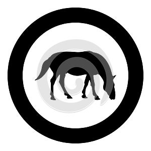 Steed Horse Equestrian Equine Stallion thoroughbred Mustang silhouette in circle round black color vector illustration solid