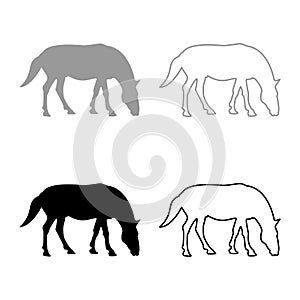 Steed Horse Equestrian Equine Stallion thoroughbred Mustang silhouette grey black color vector illustration solid outline style