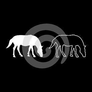 Steed Horse Equestrian Equine Stallion thoroughbred Mustang silhouette white color vector illustration solid outline style image