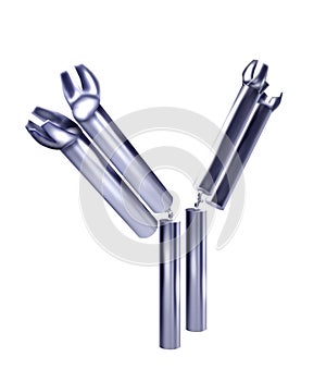 Steel antibody photo