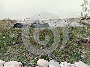 Steel Barbed Wire or Kante Wali Tar