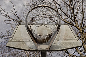 Steel basketball backboard with the hoop metal ring and steel chain net against branches and sky seen from below