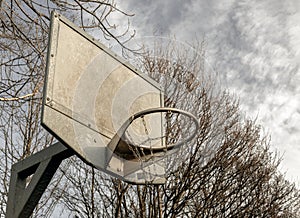 Steel basketball backboard with the hoop metal ring and steel chain net against branches and sky