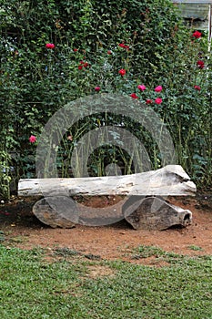 Steel bench in the garden.