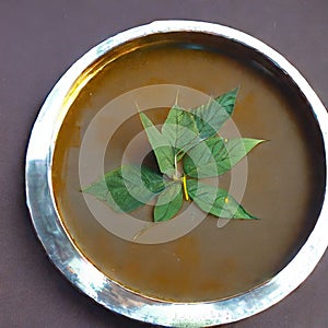 A steel bowl of sambar by Generative AI