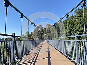 A steel bridge with tree