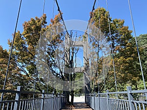 A steel bridge with tree