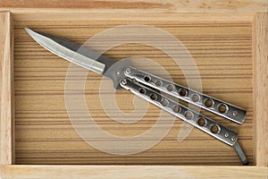 Steel butterfly knife (balisong)