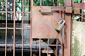 Steel cage door was locked with a key