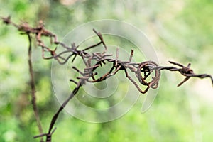 Steel fencing wire or barbed wire