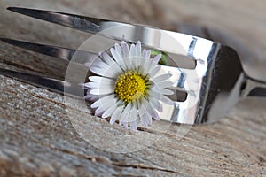 Steel Fork and flower