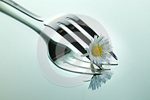 Steel Fork and flower