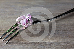 Steel Fork on wooden Table