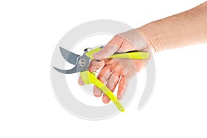 Steel garden secateurs, scissors with green plastic handle in male's hand isolated on a white background