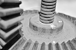 Steel gears from an old mechanical device photo