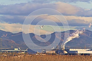 Nature and industry in the Mediterranean photo