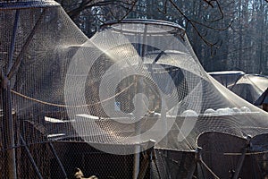 Steel mesh for aviary, zoo Jihlava Czech Republic