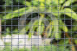 Steel mesh- background nature-and beautiful