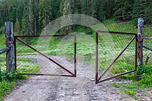 Steel mesh fence gate forest