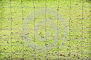 Steel mesh fence with square patterns on blurred green glass background