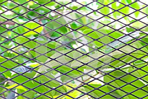 Steel mesh texture in seamless shaped patterns on colorful green foliage natural background