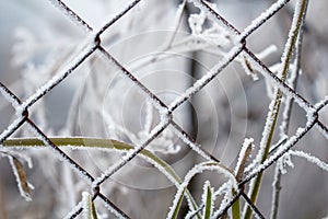 Steel metal net wire fence covered in ice crystal frost