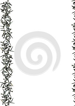 Steel Nails frame with a white background