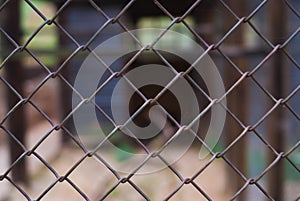 Steel network pattern background and blurred background. Selective focus