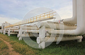 Steel pipes in crude oil factory