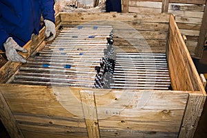 Steel Pipes Stacked into Wooden Crates