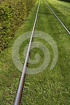 Steel rails with grass