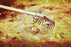 A steel rake on a grass.