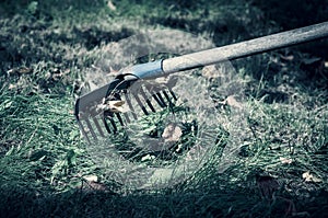 A steel rake on a grass.