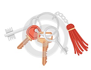 Steel ring home keychain with different keys vector illustration isolated on white background