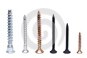 Steel screw. Multiple different screws isolated on white background.