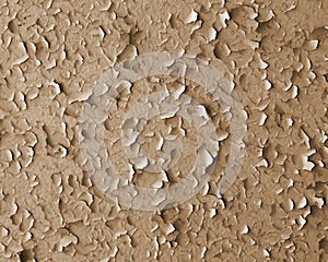 Old bright exfoliated paint