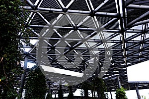 Steel structure with triangular pattern and climbing plants photo