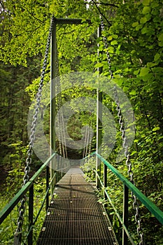 Oceľový visutý most cez rieku v Národnom parku Slovenský raj