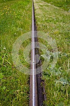 A steel tracks of a tramway in a city with a bed of grass. Biodiversity in the city.